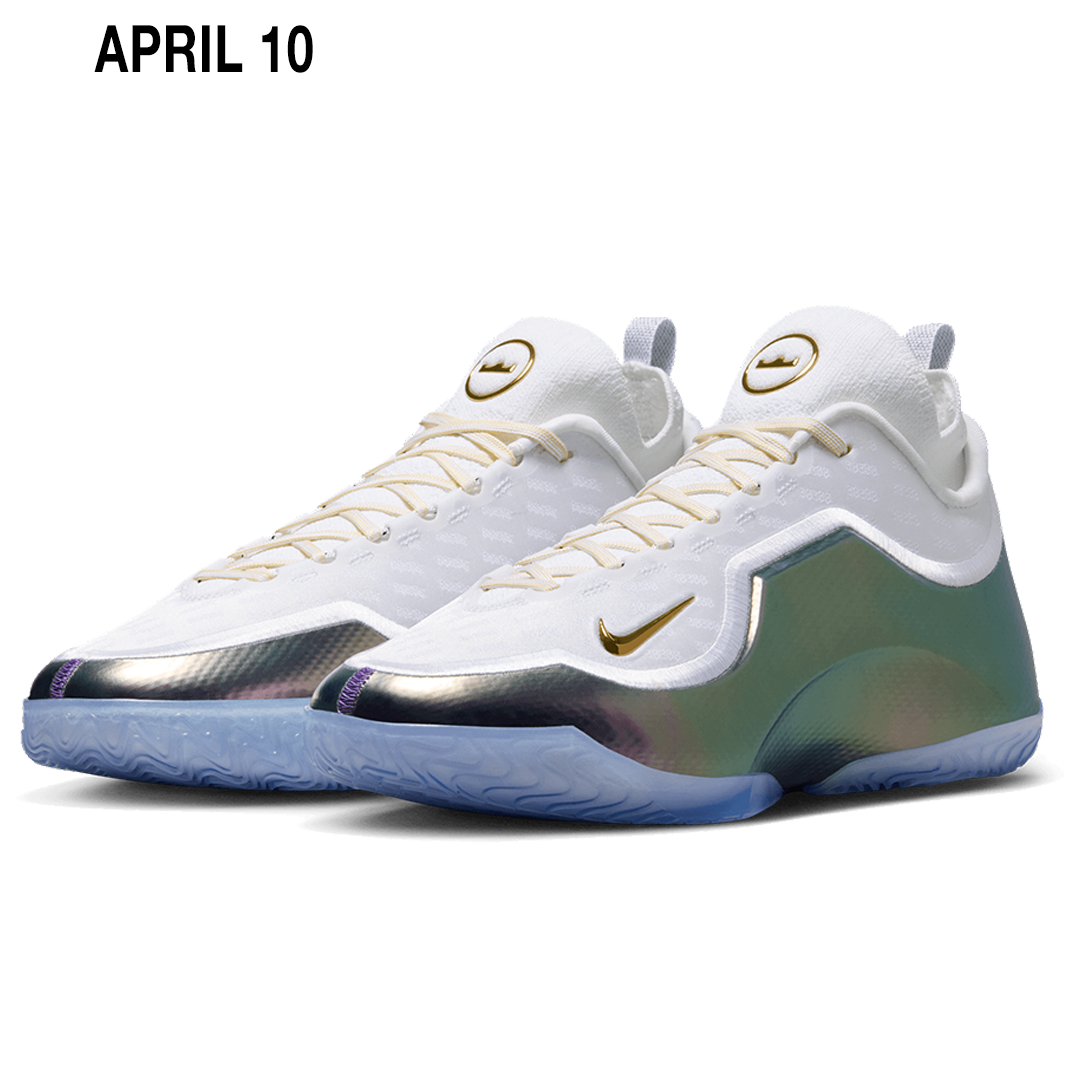 LEBRON XXIII ELITE "FOR THE RECORD"