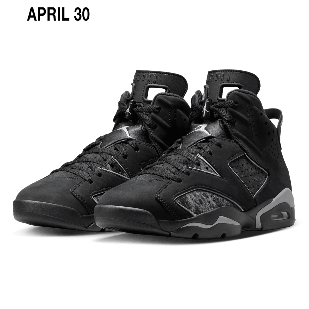 AIR JORDAN 6 "CAP AND GOWN"