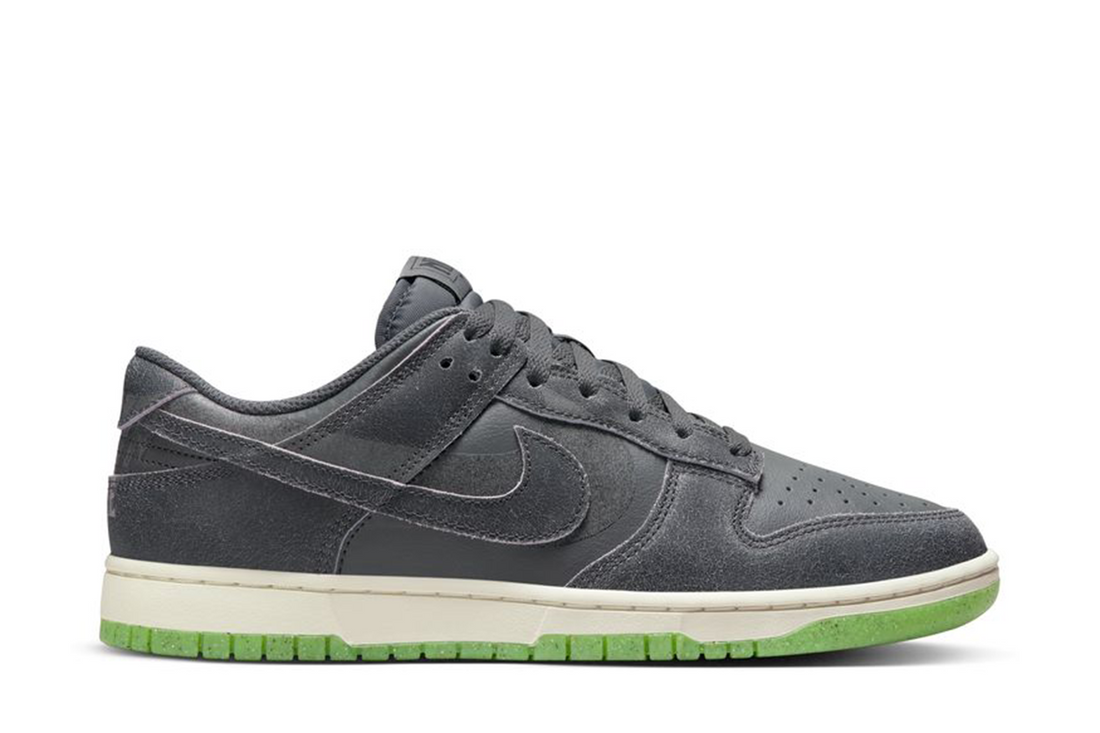 DUNK LOW RETRO PRM DQ7681-001