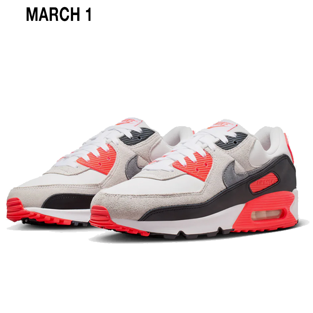 AIR MAX 90 "VAST GREY AND COOL GREY"