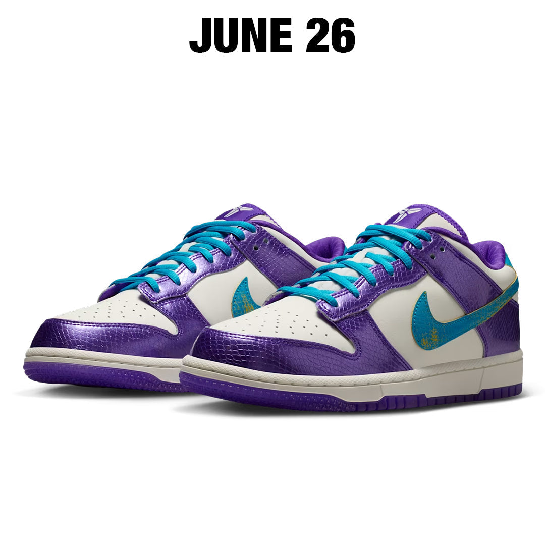 NIKE DUNK LOW PROTRO “DRAFT DAY”