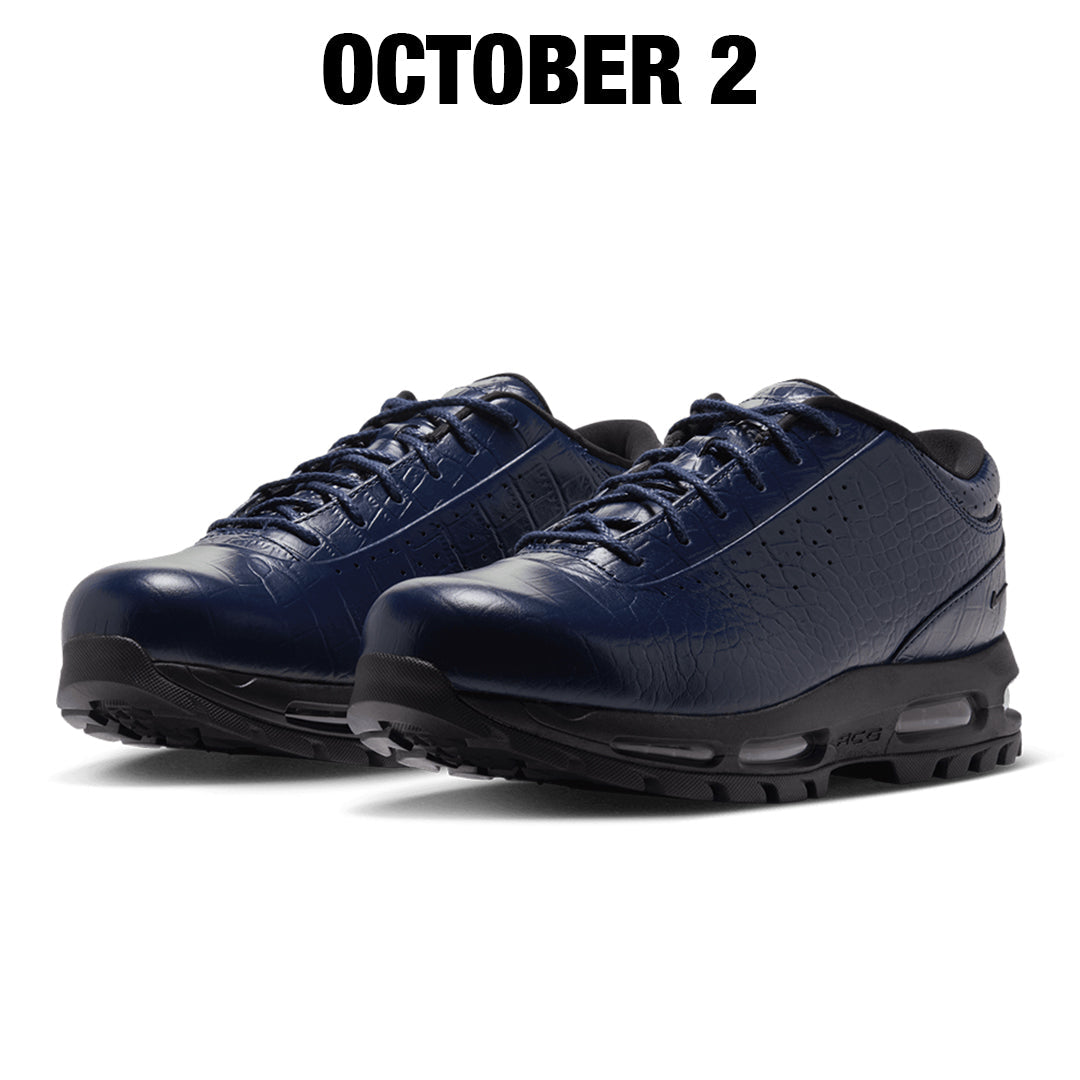 AIR MAX GOADOME LOW MIDNIGHT NAVY / BLACK