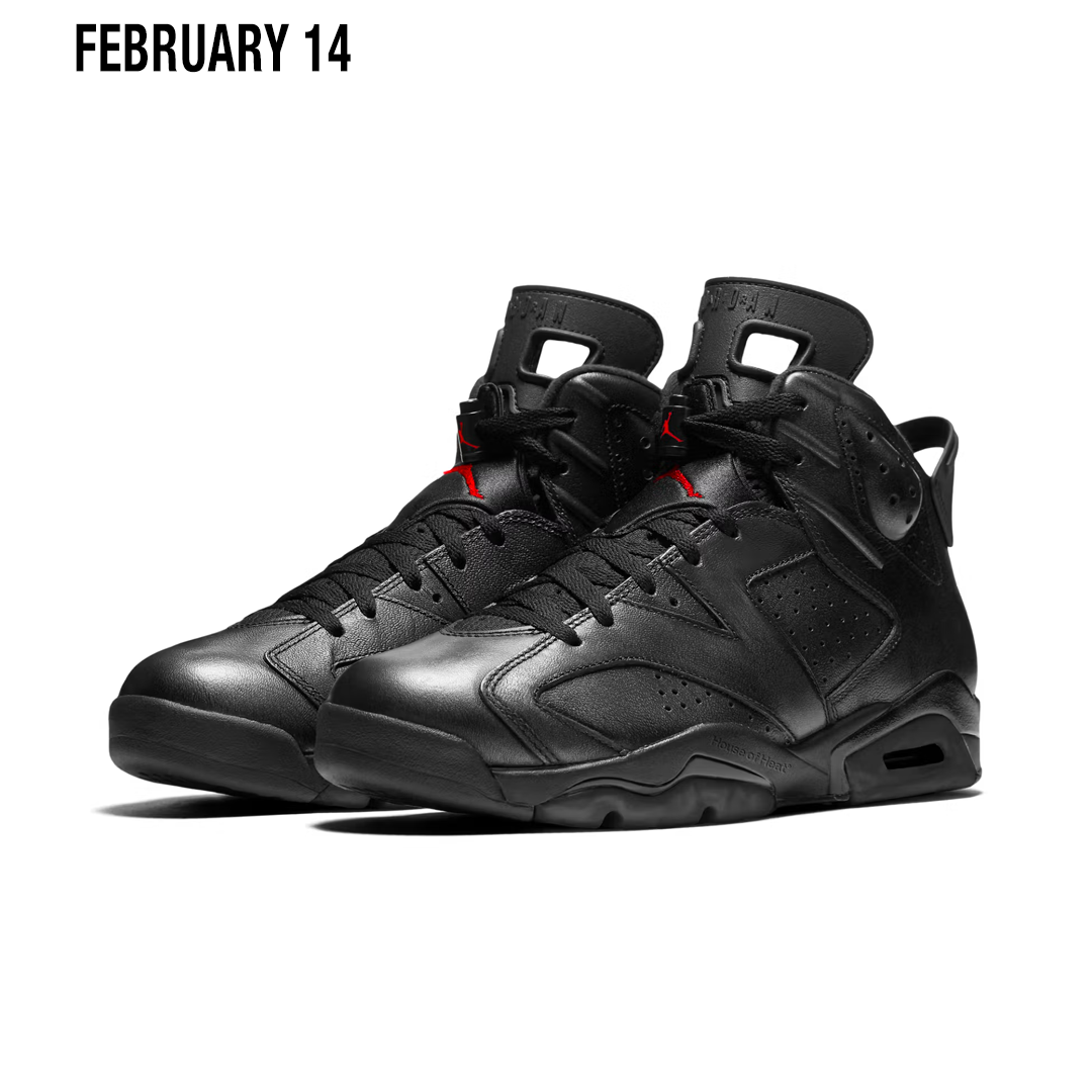 AIR JORDAN 6 PRM "BIN 23"