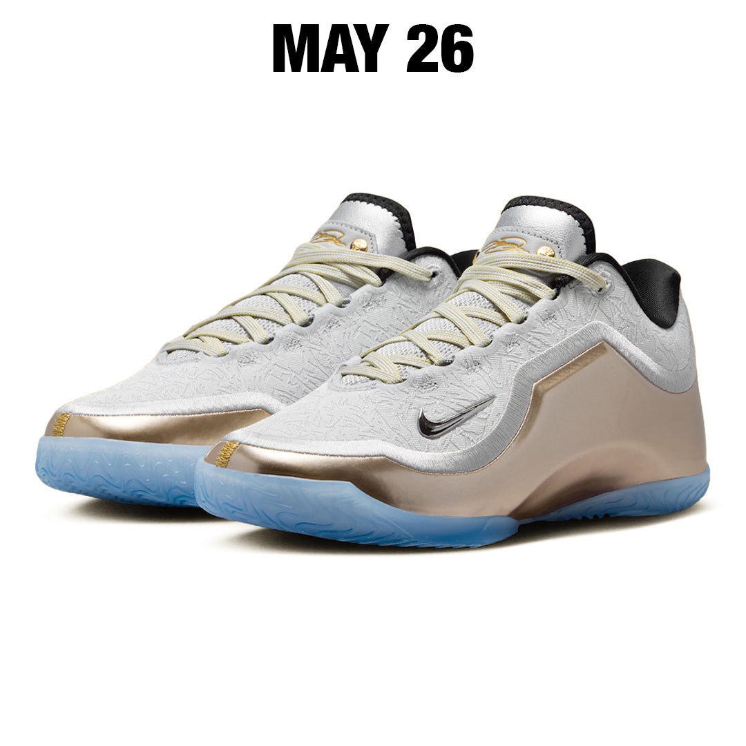 LEBRON XXIII "DREAMS AND NIGHTMARES"