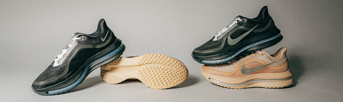 NIKE PEGASUS PREMIUM PACK