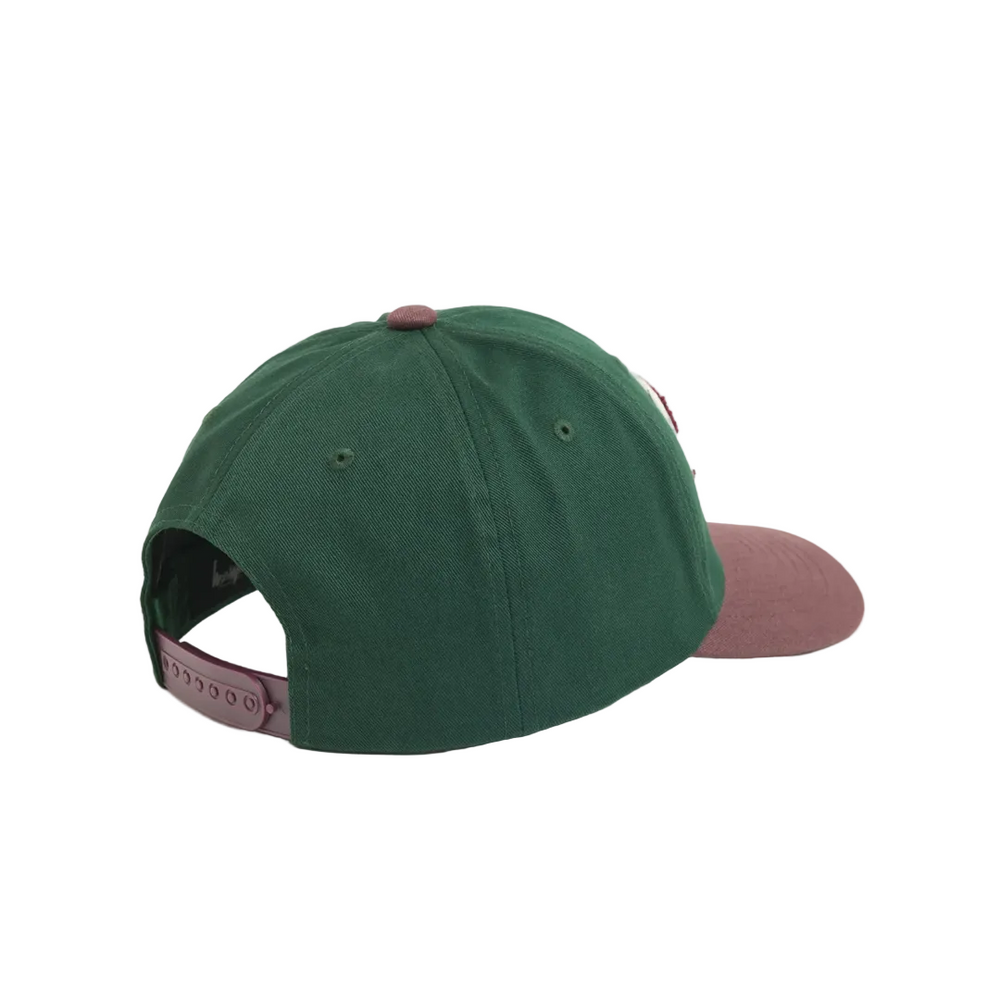 CHENILLE S SNAPBACK CAP SPRUCE
