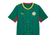 FSF AWAY JERSEY REPLICA SENEGAL WILD GREEN/PUMA RED