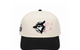 TORONTO BLUE JAYS CHERRY BLOSSOM CHAINSTITCH HAT BLACK / CREAM / CHERRY