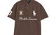 CLASSIC FIT TEAM POLO NUTMEG BROWN