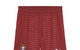 FPF REPLICA SHORTS PORTUGAL CLUB RED/GREEN LAGOON