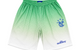 GRADIENT SHORTS GREEN