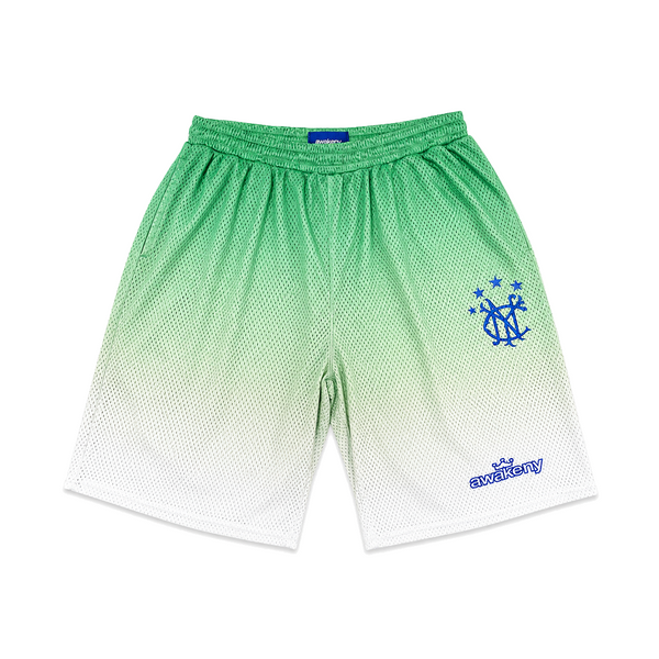 GRADIENT SHORTS GREEN
