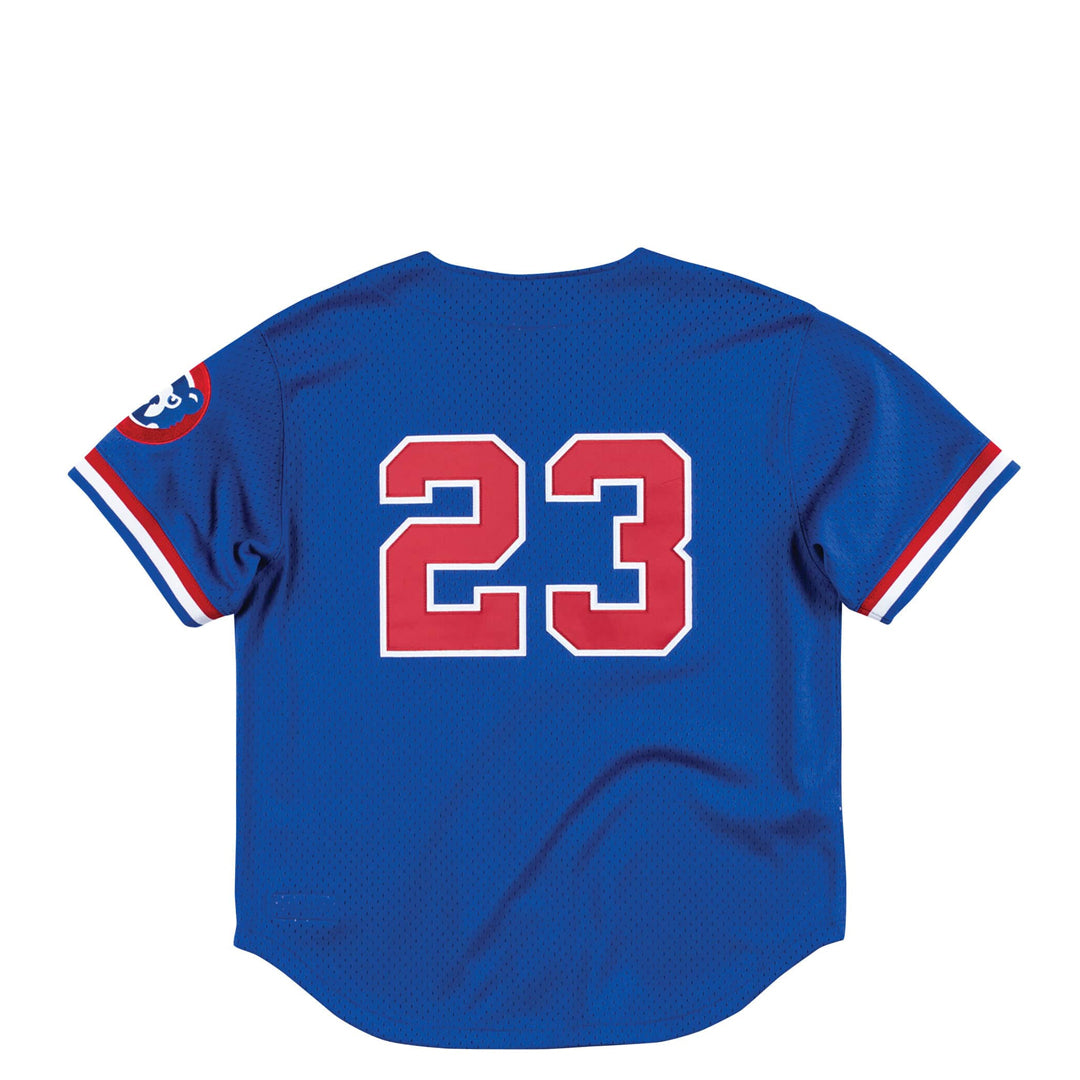 MLB CHICAGO CUBS RYNE SANDBERG 23 BATTING PRACTICE JERSEY NRML