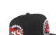 NBA TORONTO RAPTORS 95 LOGO BLACK SNAPBACK
