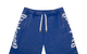 COURTSIDE SHORTS ROYAL WASH