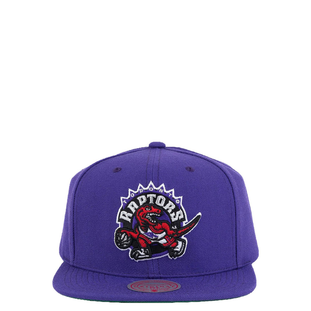 TORONTO RAPTORS HARDWOOD CLASSIC SNAPBACK PURPLE – NRML