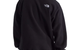 FLEESKI 1/4 ZIP PULLOVER FLEECE TOP TNF BLACK