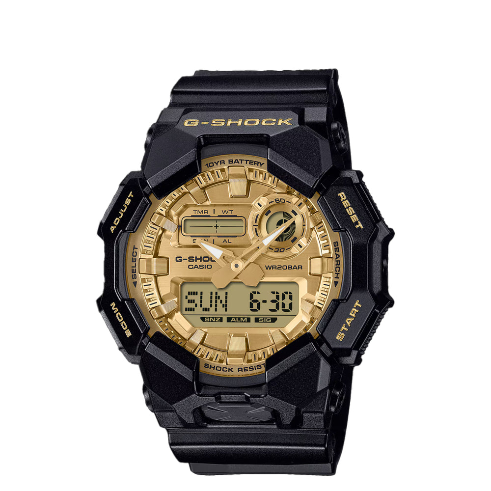 ANALOG-DIGITAL GA-010 SERIES GA-010GGB-1A9