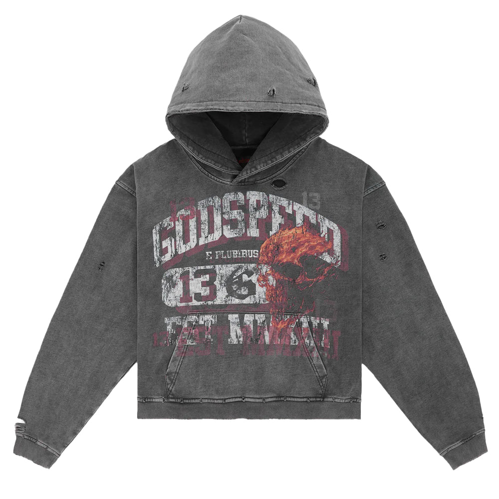 SEEING DOUBLE HOODIE GREY WASHED