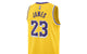 LEBRON JAMES LOS ANGELES LAKERS ICON EDITION 2022/23