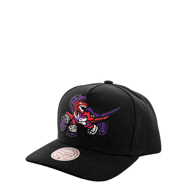 NBA TORONTO RAPTORS TILTED PRO CAP PINCH FIT