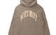 WHY NOT HOODIE TAUPE