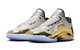 LEBRON XXIII "DREAMS AND NIGHTMARES" METALLIC SILVER
