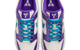 DUNK LOW PROTRO "DRAFT PACK" "CHARLOTTE TO LA" FIERCE PURPLE