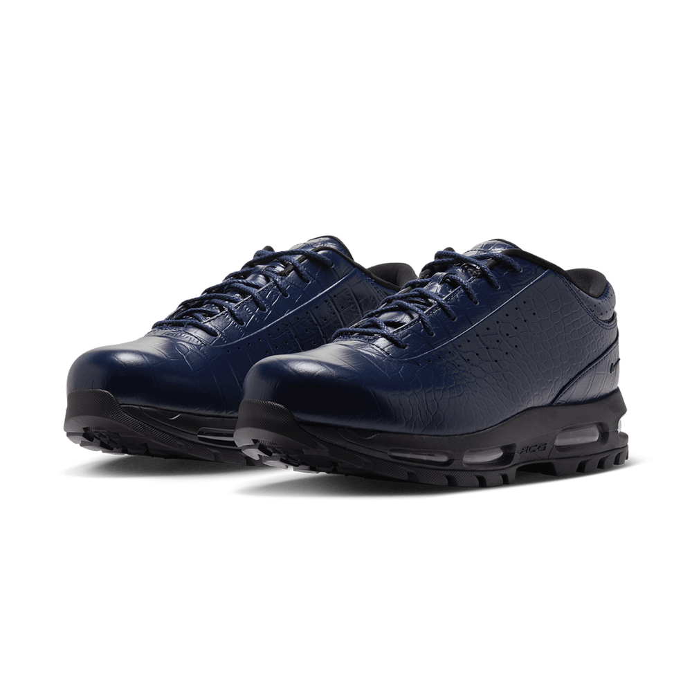 AIR MAX GOADOME LOW MIDNIGHT NAVY / BLACK