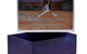 AIR JORDAN 9 RETRO OG "SPACE JAM"