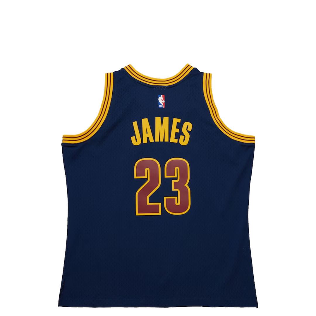 lebron raptors jersey
