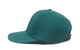 TNF RED BOX NYLON HAT HUNTER GREEN