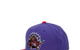 TORONTO RAPTORS HARDWOOD CLASSICS TEAM 2-TONE 2.0 SNAPBACK HAT