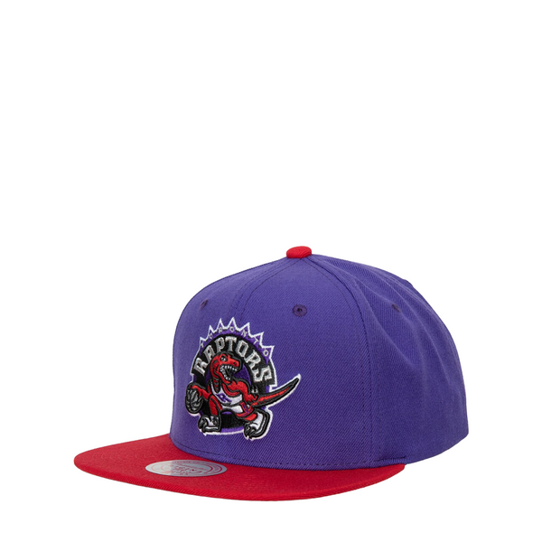TORONTO RAPTORS HARDWOOD CLASSICS TEAM 2-TONE 2.0 SNAPBACK HAT