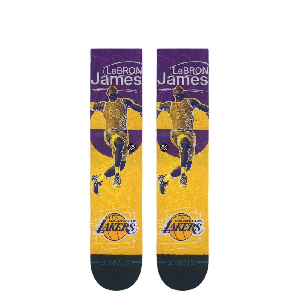 LOS ANGELES LAKERS LEBRON PASTED SOCKS