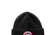 ARCTIC DISC TOQUE BLACK