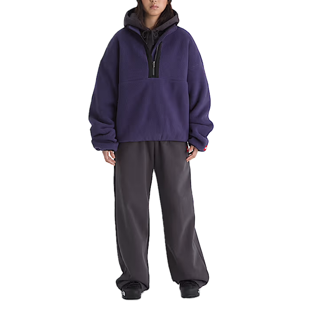 TNF RED BOX 1/2 ZIP FLEECE ETERNAL PURPLE