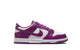 DUNK LOW (GS) VIOTECH