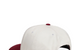 LOW PROFILE BIG BASIC SNAPBACK WINE