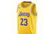 LEBRON JAMES LOS ANGELES LAKERS ICON EDITION 2022/23