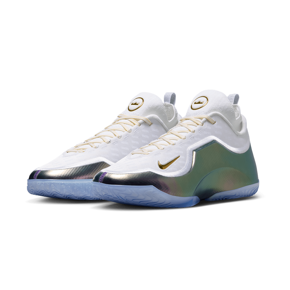 LEBRON XVIII ELITE "FOR THE RECORD"