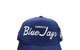 MLB TORONTO BLUE JAYS LEGENDS SNAPBACK BLUE