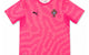PUMA X FPF X SALEHE BEMBURY REPLICA MATCH JERSEY LS FLURO PINK