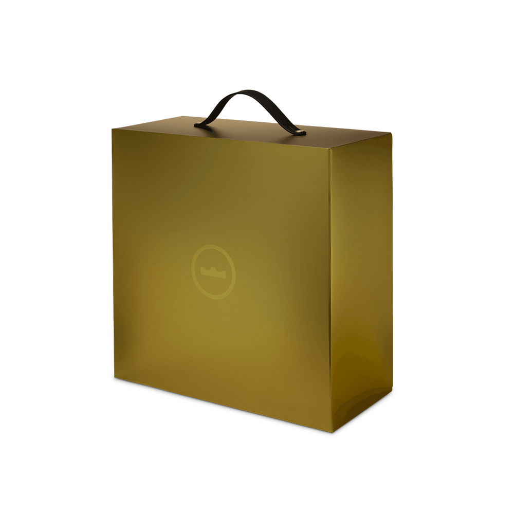 LEBRON XXIII "BUBBLE BOY"