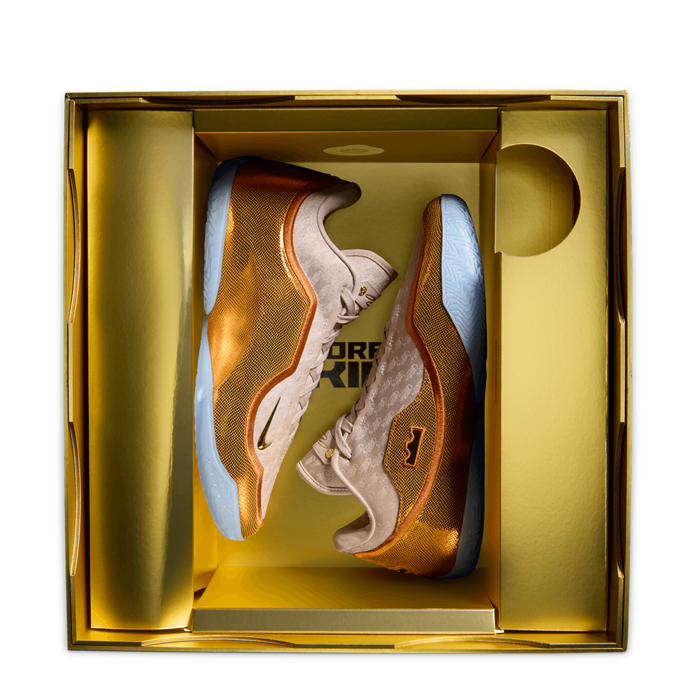 LEBRON XXIII "LeBronto"