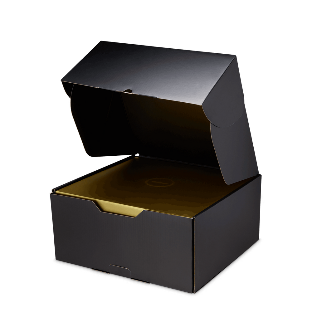 LEBRON XXIII "LeBronto"