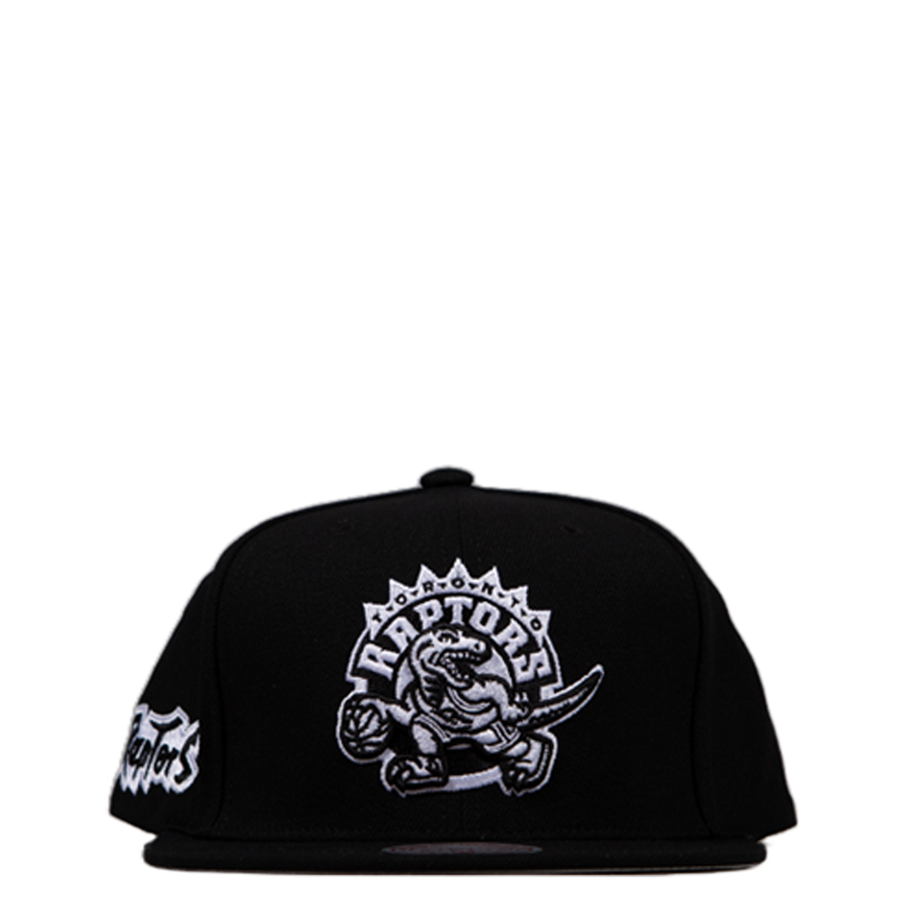 NBA TORONTO RAPTORS SNAPBACK