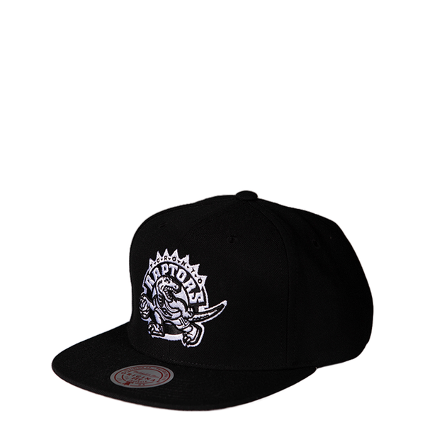 NBA TORONTO RAPTORS SNAPBACK