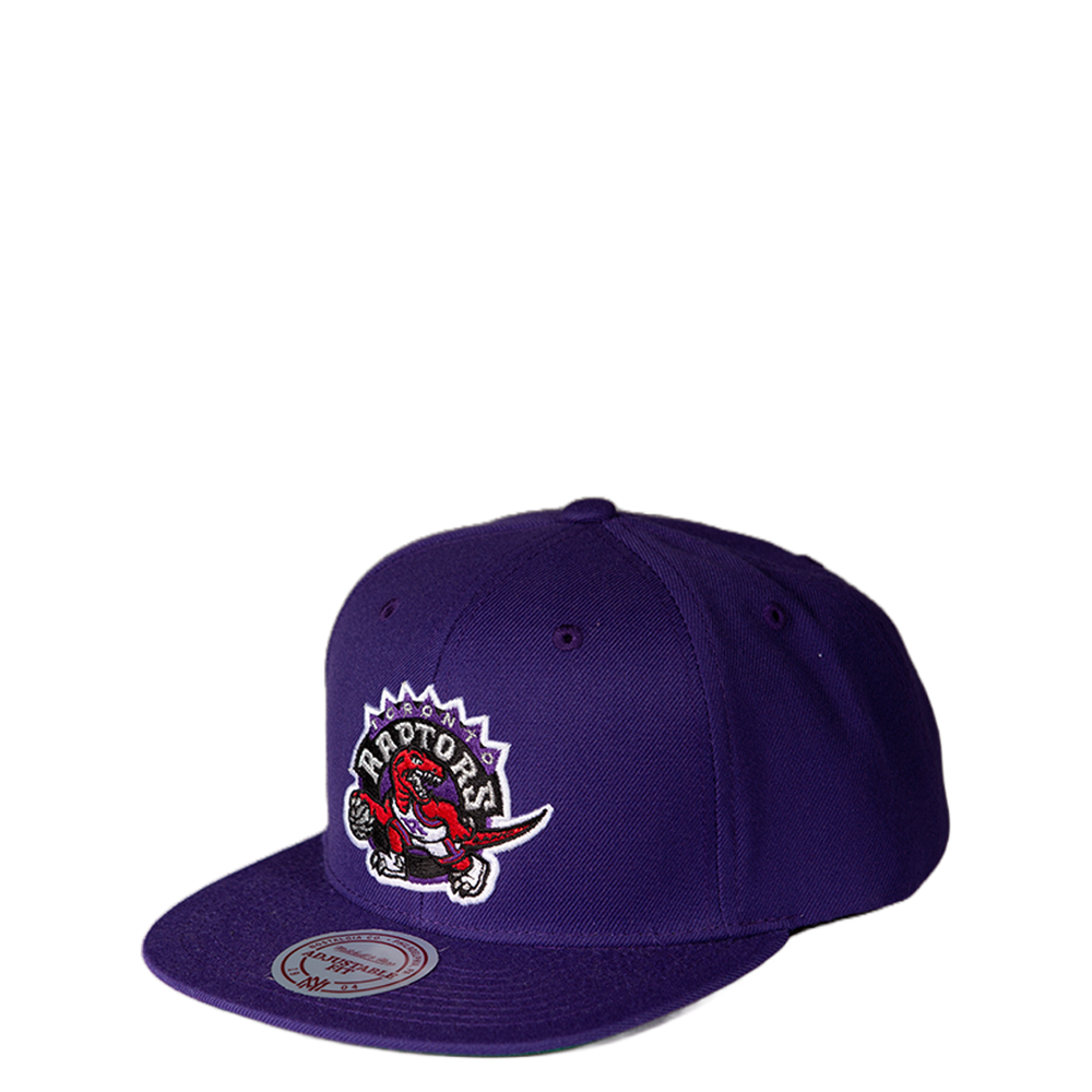 Raptors snapback shop