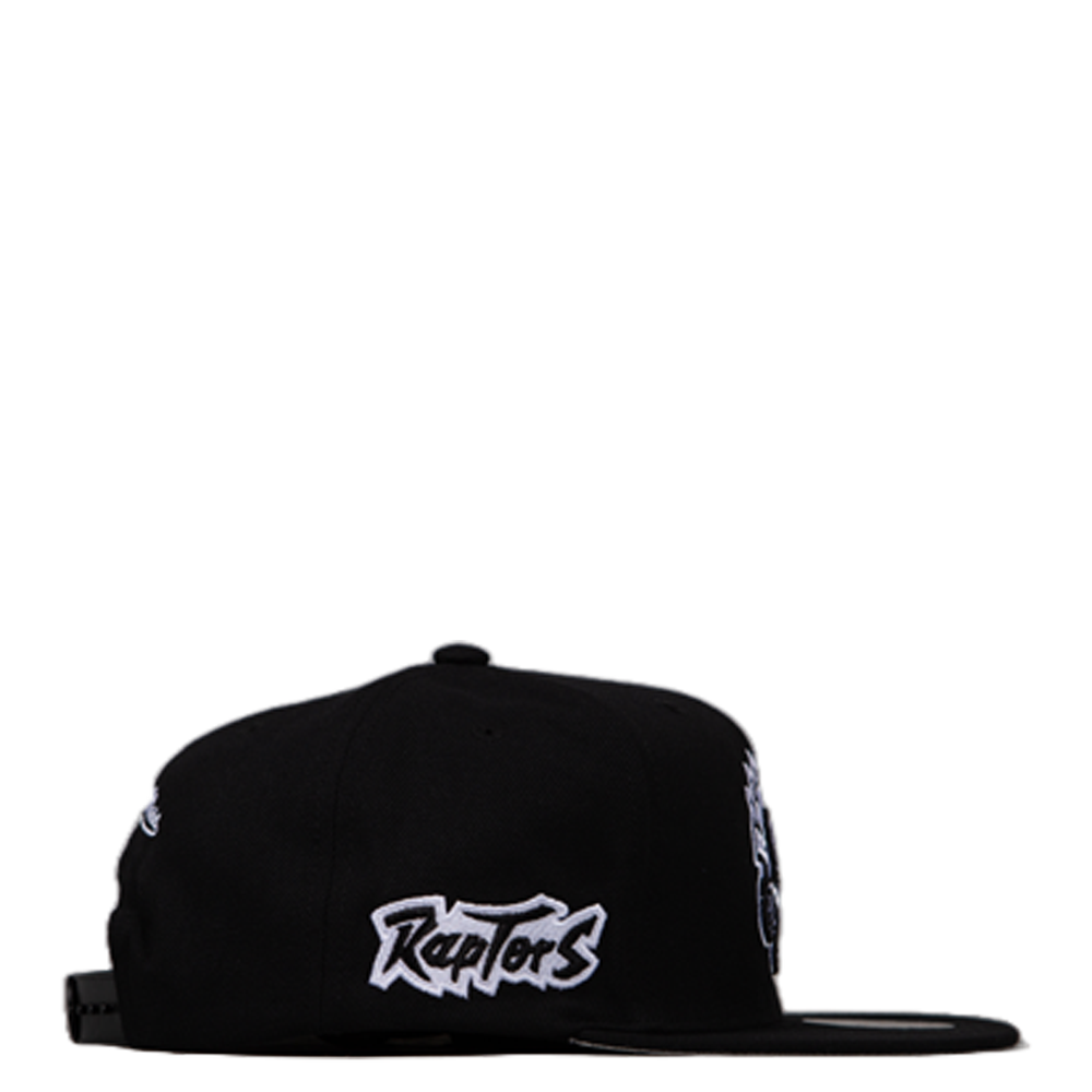 NBA TORONTO RAPTORS SNAPBACK